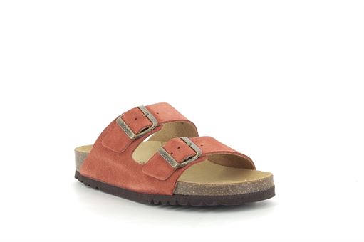 SCHOLL JOSEPHINE<br>Rouille