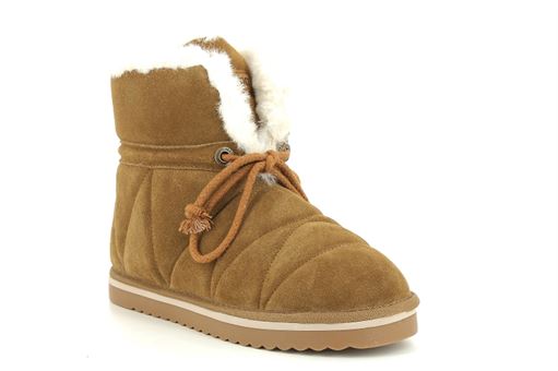 Camel