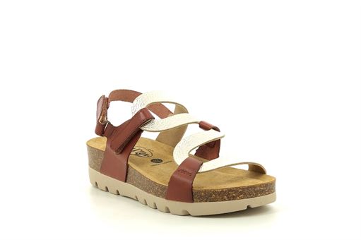 PLAKTON CURVI<br>Camel