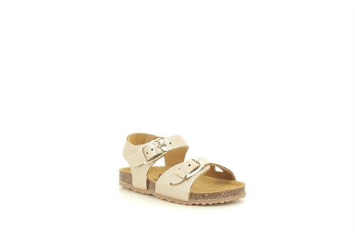 PLAKTON POXY<br>Or