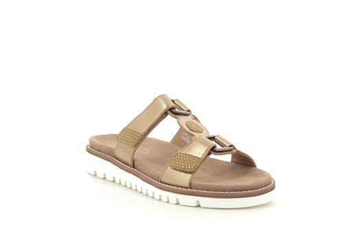 ARA 12 28112<br>Camel