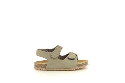 PLAKTON PANTER<br>Vert