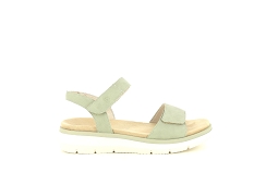 REMONTE D2K58<br>Vert