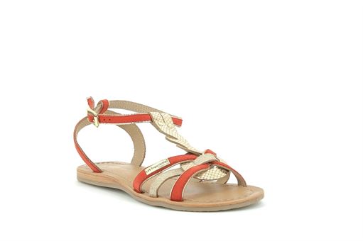  HAMUC<br>Cuir Corail  