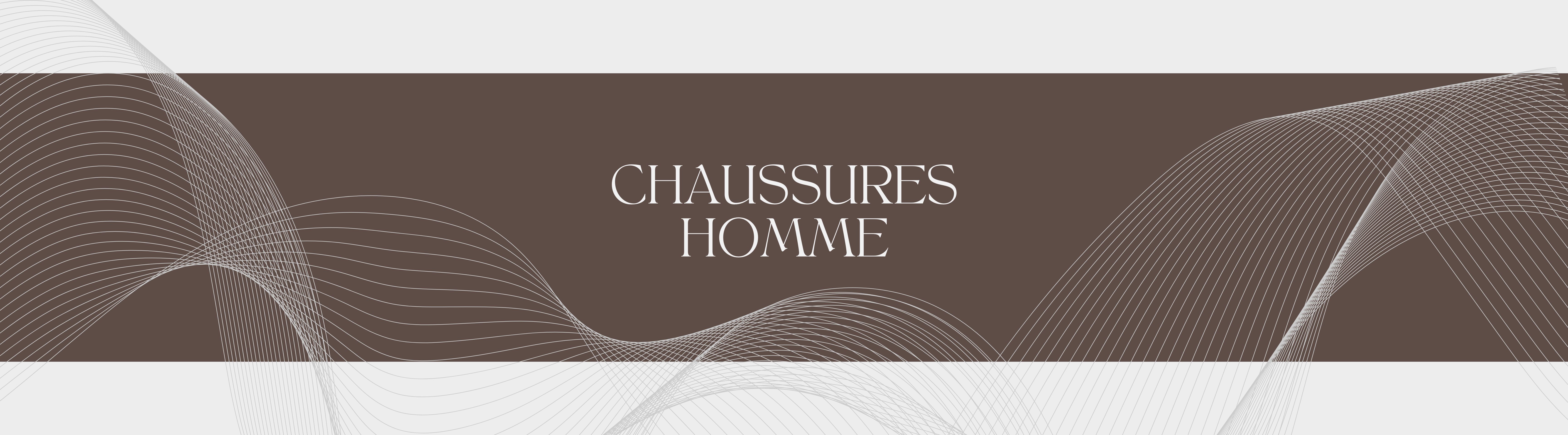 Chaussures pour homme sur le site Chaussures Erbé