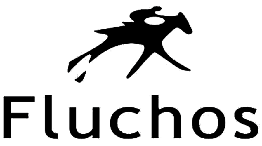 Fluchos logo