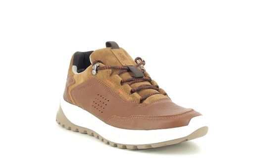 Tbs sneakers lindol marron