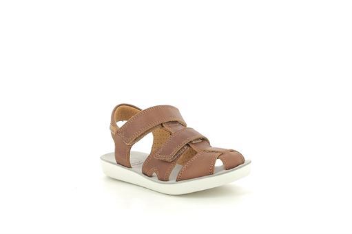 Shoopom nu pied goa  new scratch camel