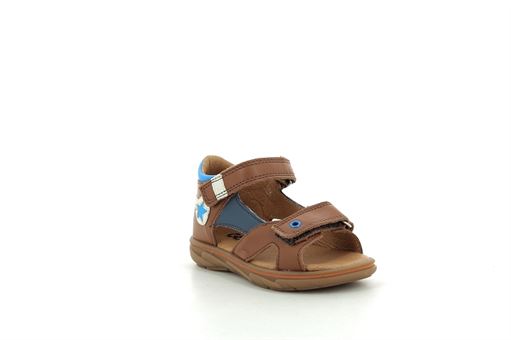 Gbb nu pied sami camel