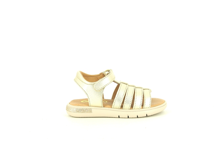 Gbb nu pied savant or