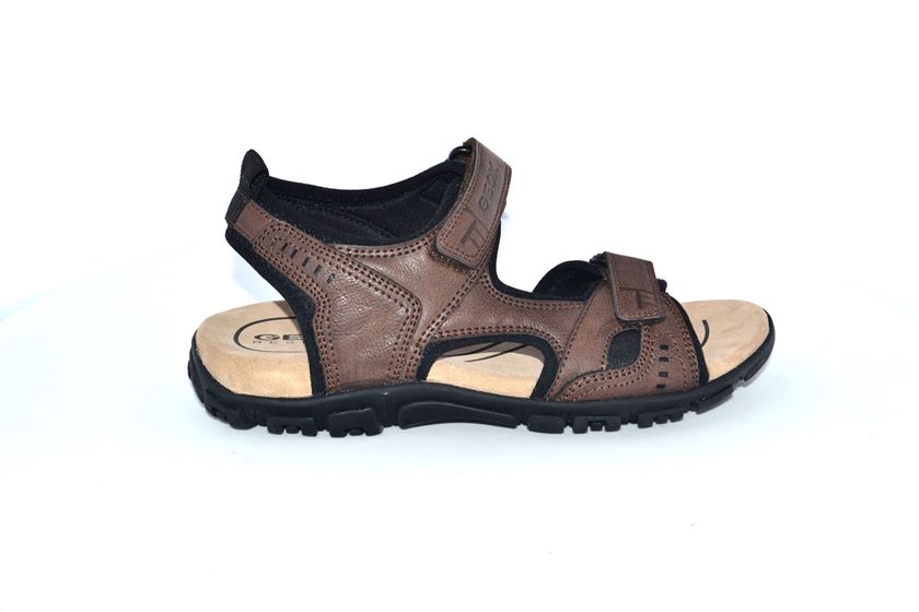 geox marron